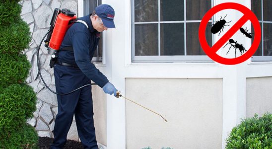 Dumlupınar Bit İlaçlama böcek ilaçlama ve haşere kontrolü — ilaclama-tr.com
